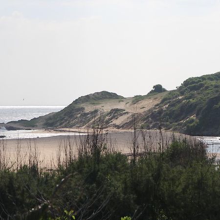Yala Bay Resort 蒂瑟默哈拉默 外观 照片