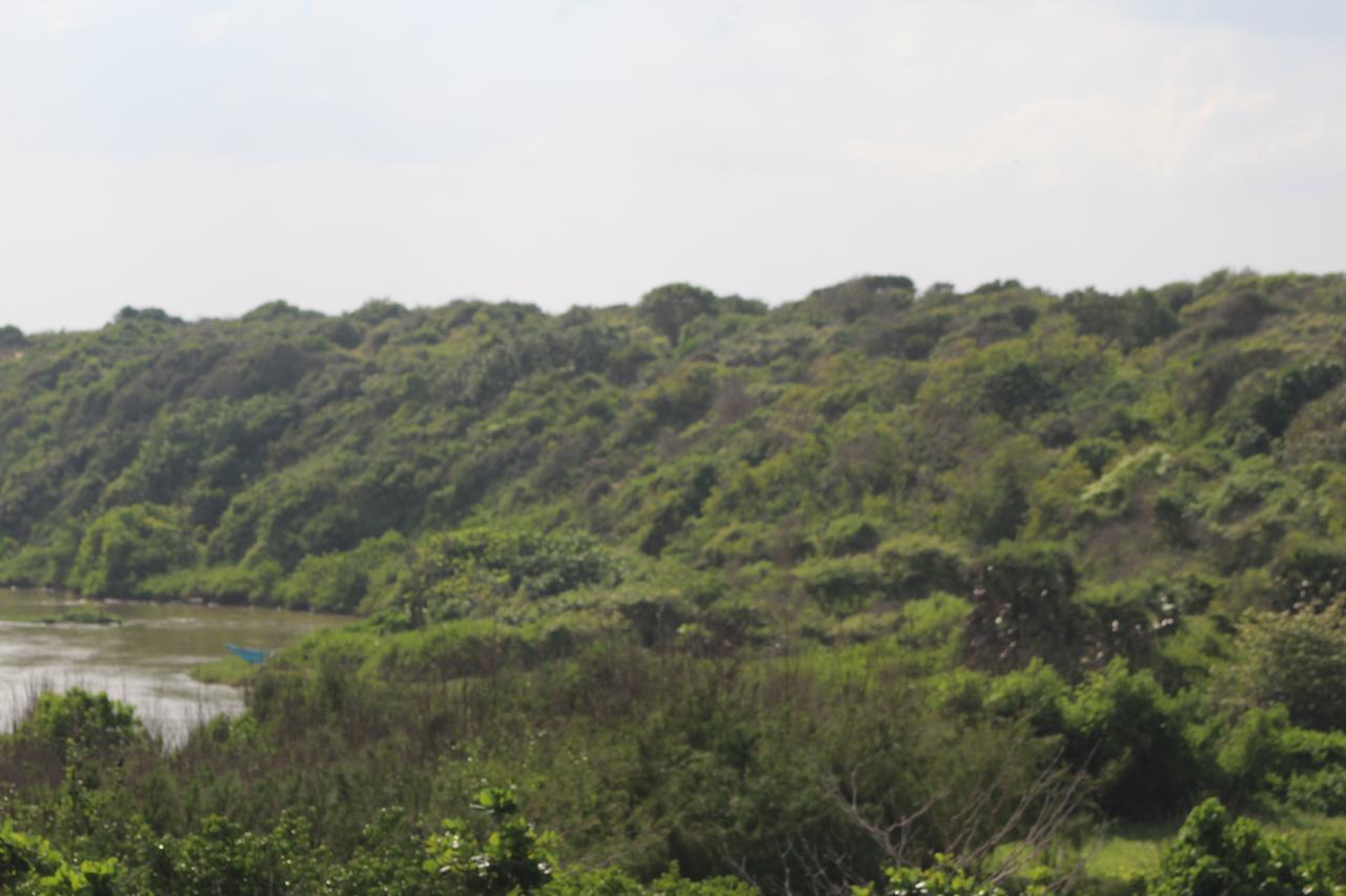 Yala Bay Resort 蒂瑟默哈拉默 外观 照片